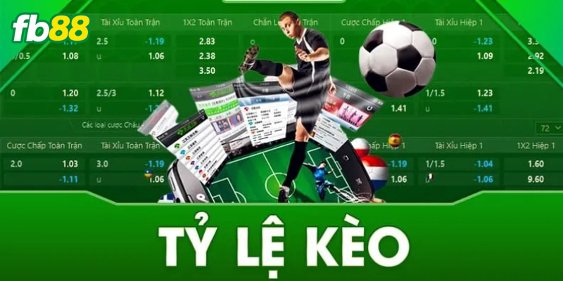 Các tiêu chí đánh giá chi tiết