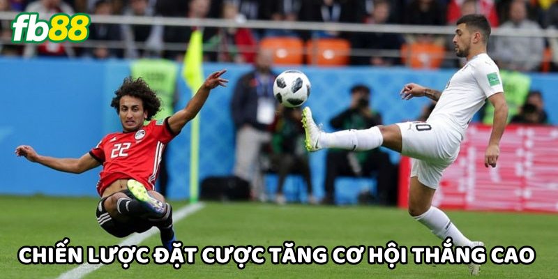 Chiến lược đặt cược tăng cơ hội chiến thắng cao
